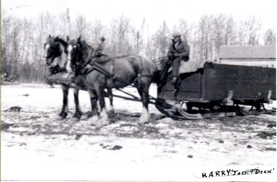 Old263